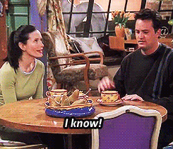 you are the monica geller of your group when